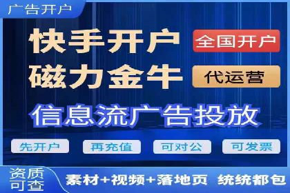 初学者的百度竞价推广：成功案例揭秘